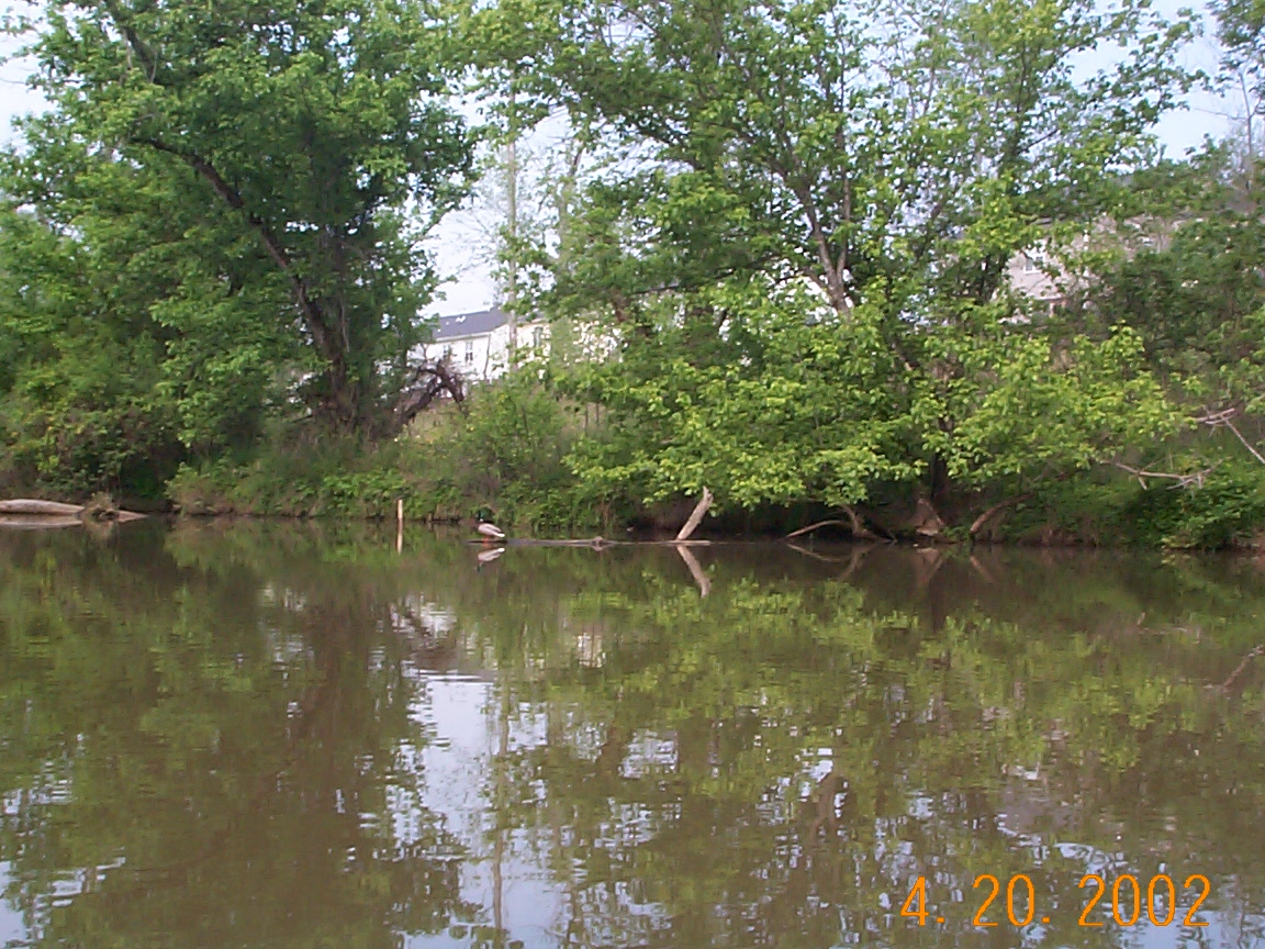 ./2002/Neuse River Bufaloe to Rogers/DCP01373.JPG
